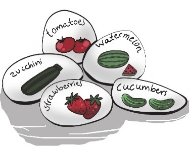 Zad. 10 — ilustracja: malowane kamienie ogrodowe (Painted garden stones)